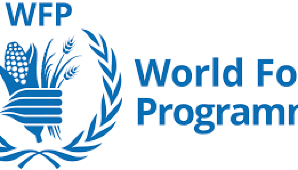 Programme Policy Officer (Special Projects) Vacancy-Job Ref: JKGHWFP/0801/202397