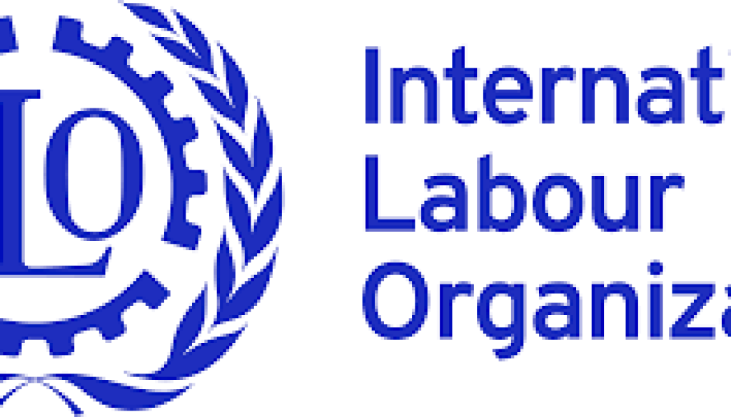 National Project Coordinator-NOB (DC) Vacancy-Job Ref: JKGHILO/1705/202431